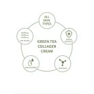 the SKIN HOUSE - Green Tea Collagen Cream (50ml)