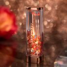 CORINGCO - Shalala Snow Ball Lip Balm #04 Starlight Ferris Wheel