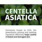 iUNIK - Black Snail Restore Serum 50ml